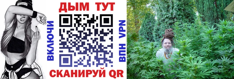 дарк нет какой сайт  Муром  Шишки марихуана Ganja 